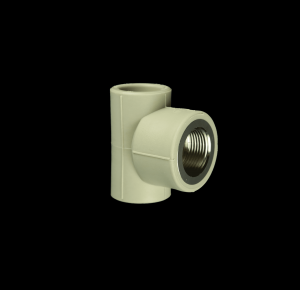 TÊ REN TRONG PPR TIỀN PHONG