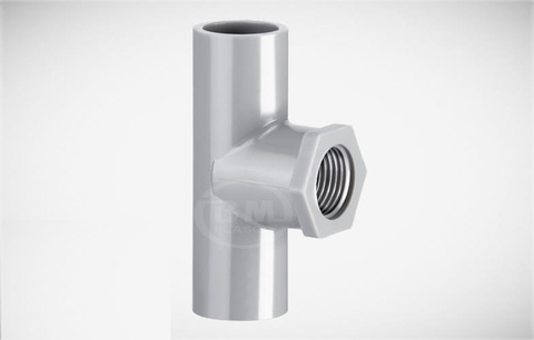 TÊ RÚT REN TRONG NHỰA BÌNH MINH