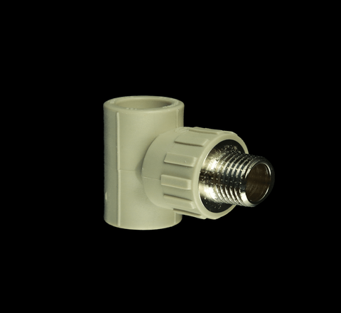 TÊ REN NGOÀI PPR TIỀN PHONG