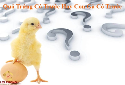 Quả trứng có trước hay con gà có trước? Câu trả lời đã có