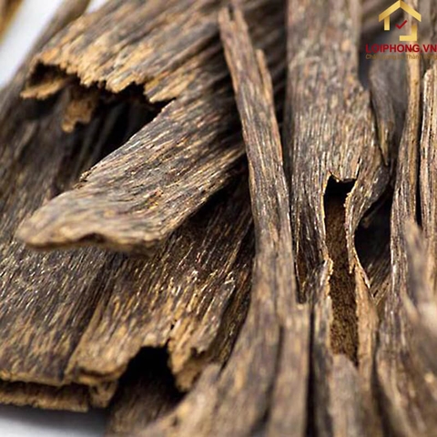 Trầm hương là gì? Tìm hiểu về phân loại, công dụng và cách phân biệt