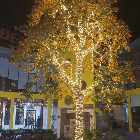 Đèn dây Led F5 quấn cây đế 9mm điện áp 5V (12V) các màu chống nước, F5 trang trí nhà cửa, F5 nháy đủ màu, trang trí Noel, trang trí Tết (Không kèm bộ nguồn)