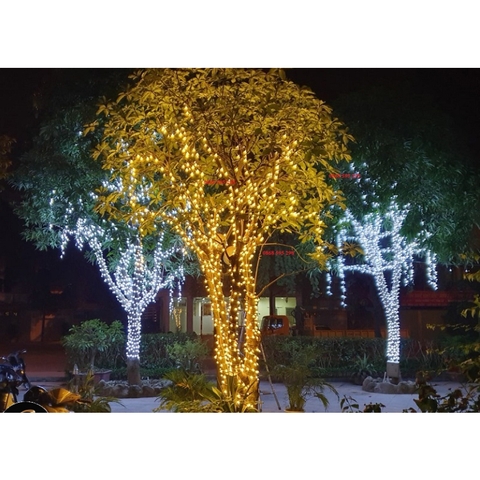 Đèn dây Led F5 quấn cây đế 9mm điện áp 5V (12V) các màu chống nước, F5 trang trí nhà cửa, F5 nháy đủ màu, trang trí Noel, trang trí Tết (Không kèm bộ nguồn)