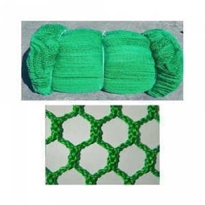 Lưới an toàn Hàn Quốc