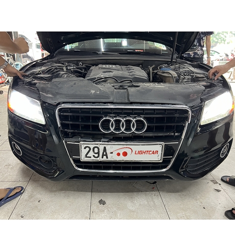 Bóng LED Chân D3S Cao Cấp Cho Xe Sang