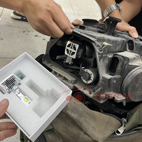 Bóng LED Chân D1S Cao Cấp Cho Xe Sang