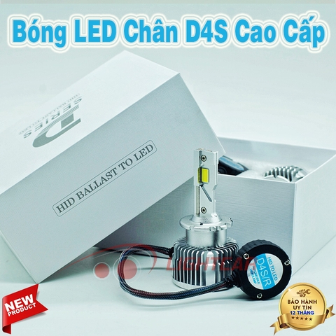 Bóng LED Chân D4S Cao Cấp Cho Xe Sang