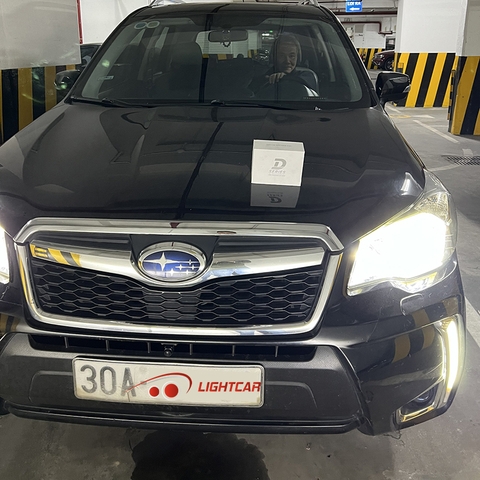 Bóng LED Chân D4S Cao Cấp Cho Xe Sang