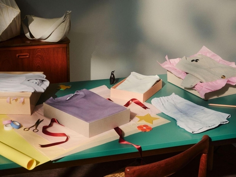 What is cotton? Advantages, disadvantages, classifications and perceptions