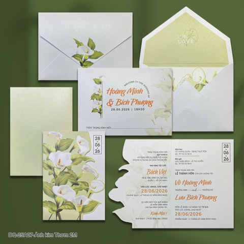 (DQ25A27) Thiệp cưới ánh kim hiện đại