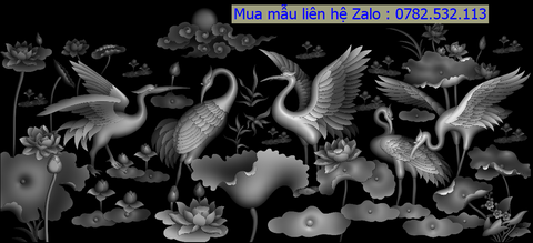 CHIẾU 23