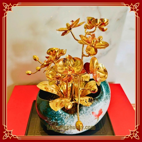 Lan vàng Phú Quý mini - LVMN07