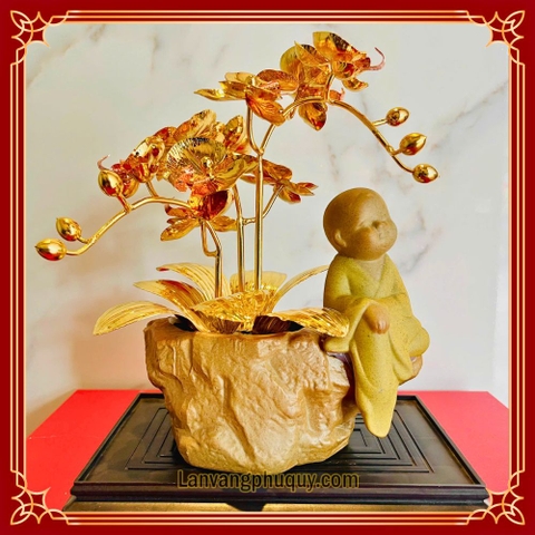 Lan vàng Phú Quý mini - LVMN09