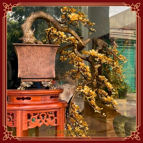 Mai Vàng Uyên Ương - LVPQ18