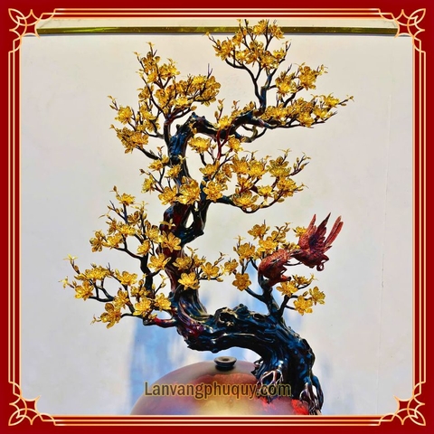 Mai Vàng Phú Quý - MVPQ023