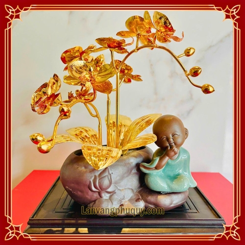 Lan vàng Phú Quý mini - LVMN06