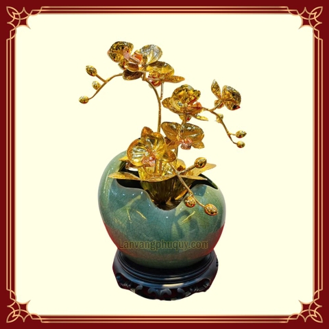 Lan vàng Tài Lộc - LVPQ13