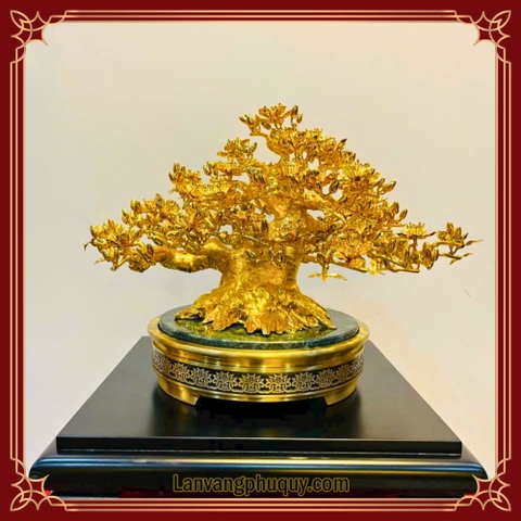 Mai Vàng Tài Lộc - LVPQ19