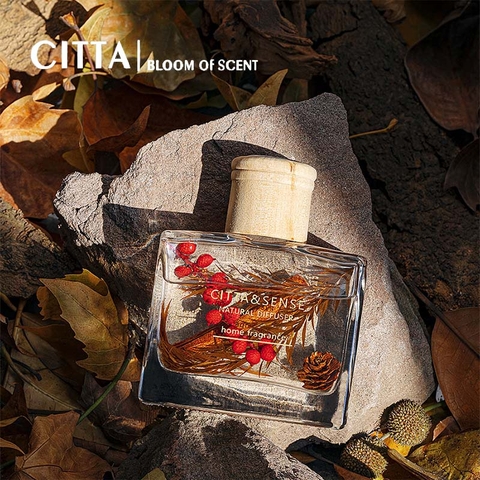 CITTA Tinh Dầu Thơm Phòng WARMTH OF WINTER 120 ml - Tinh Dầu Thơm Khuếch Tán Sự Ấm Áp