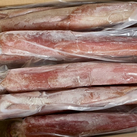 Mực ống size lớn