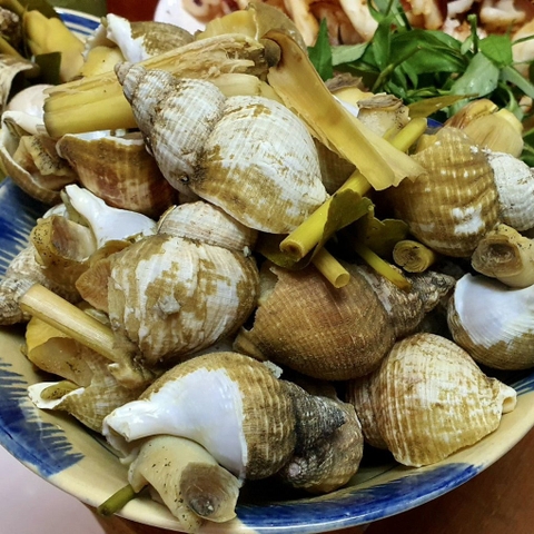 Ốc bù lót Pháp size lớn