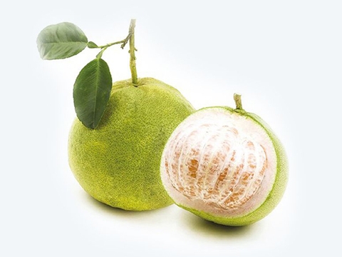 Bưởi phúc trạch