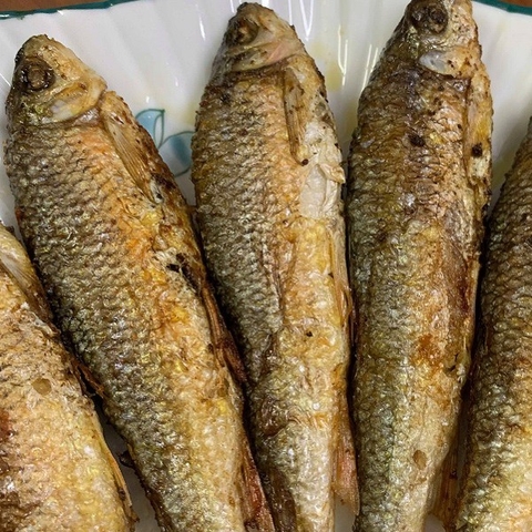 Cá mát chiên giòn