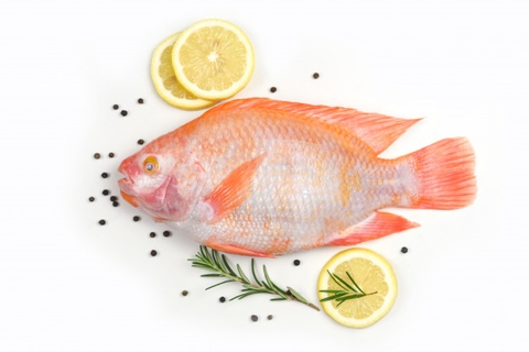 cá diêu hồng 1kg