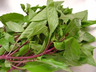 Rau húng quế 50g