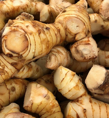 riêng củ đong lạnh　ガランガル