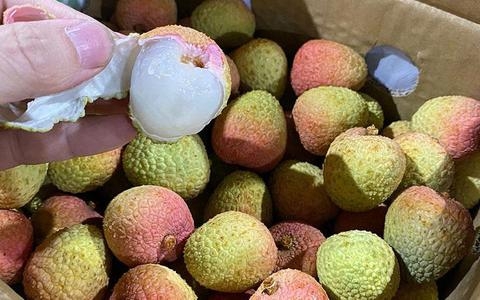 vải thều