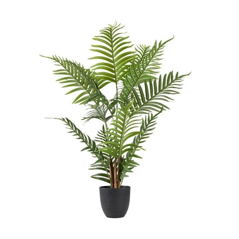 Cây trang trí SANDER xi măng/nhựa PE xanh lá/đen C90cm