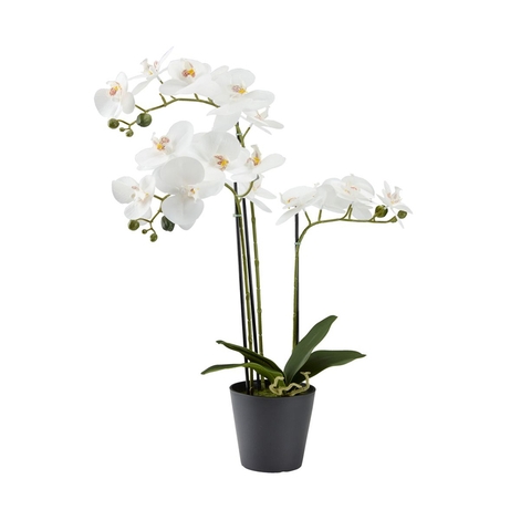 Cây trang trí MATINUS nhựa PE/thép xanh lá/trắng C62cm