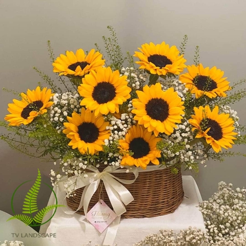 Hoa Hướng Dương