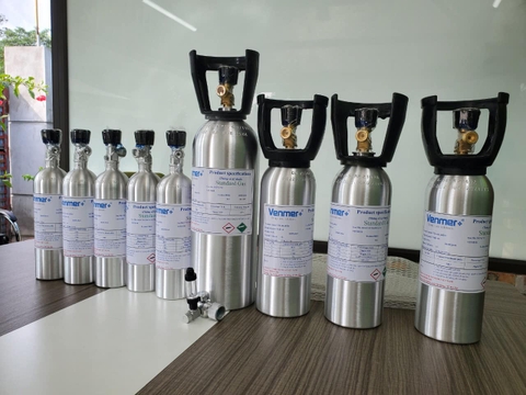 700ppm NO 1300ppm CO 300ppm SO2 Blance N2