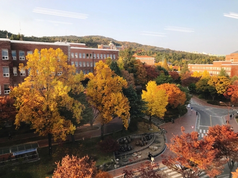 Du Học Hàn Quốc Cần Biết