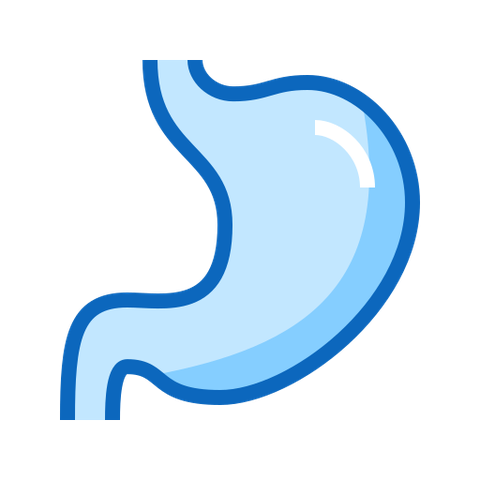 Hỗ trợ tiêu hóa