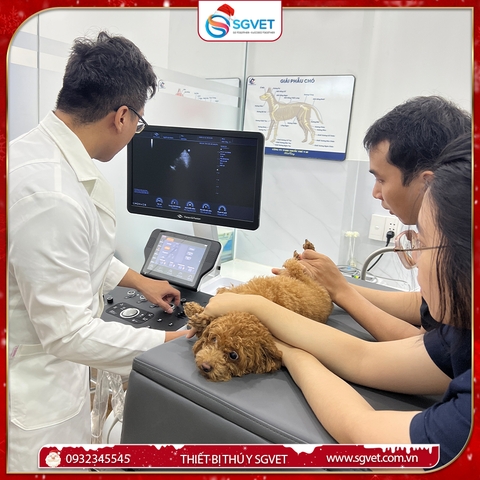 DÒNG MÁY SIÊU ÂM ĐANG ĐƯỢC ƯA CHUỘNG TẠI CÁC PHÒNG KHÁM THÚ Y