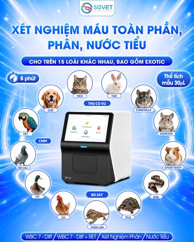 Máy Hình Thái Học Tế Bào Dr AI – Giải Pháp Xét Nghiệm Thú Y Đa Năng Ứng Dụng AI