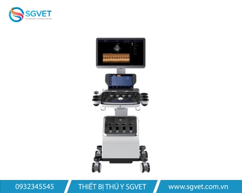 MÁY SIÊU ÂM CHUYÊN TIM CAO CẤP LYNUS 10