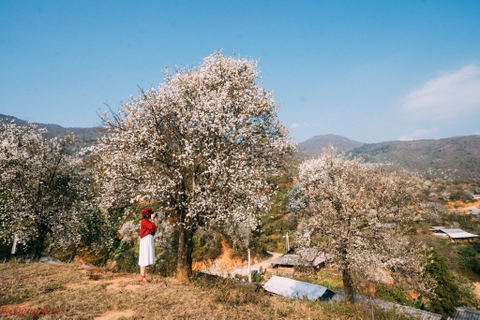 Bản đồ Du Lịch Mộc Châu