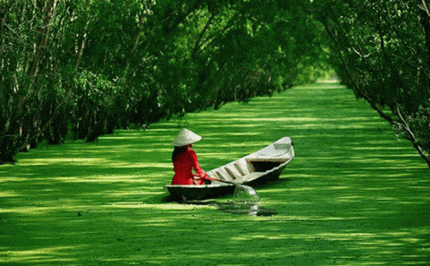 Khám phá 10 điểm du lịch sinh thái gần thành phố Hồ Chí Minh