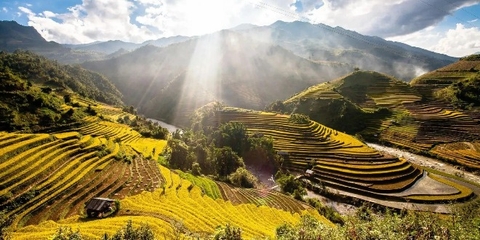 HCM – MÙ CANG CHẢI – TRẠM TẤU – CÙ VAI 4N3Đ