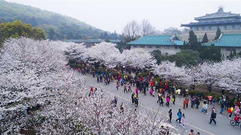 VŨ HÁN - KHAI PHONG - LẠC DƯƠNG - HOA SƠN - TÂY AN 7N6Đ| MÙA HOA ANH ĐÀO| KHỞI HÀNH TỪ HỒ CHÍ MINH