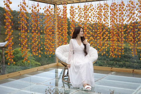 TOUR TP. HỒ CHÍ MINH - ĐÀ LẠT 3 NGÀY 3 ĐÊM