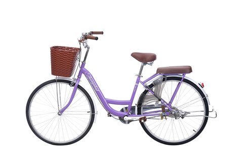 Xe Đạp Đường Phố City Thống Nhất New 26 26 inch
