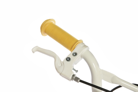 Xe Đạp Trẻ Em AVACycle Flying Fish JY902-16 16 inch