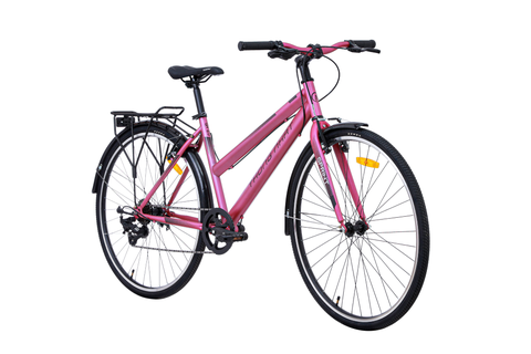 Xe Đạp Đường Phố Thể Thao Thống Nhất GN 06-26 2.0 Pro - 26 inch