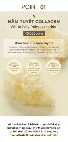 WHISIS So, glow vegan skin toner Nước Thần Thuần Chay Whisis