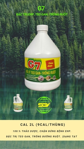 G7  (Đặc trị EHP, teo gan,  trống ruột)